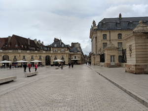 Chauffeur privé Dijon